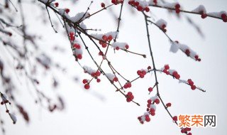 小雪节气这天下雨 小雪节气下雨打雷