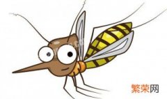 蚊子多怎么办有何妙招 四个小妙招教你解决蚊子多