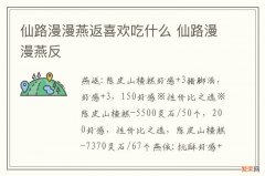 仙路漫漫燕返喜欢吃什么 仙路漫漫燕反