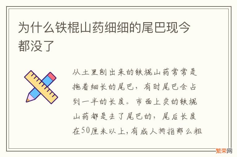 为什么铁棍山药细细的尾巴现今都没了