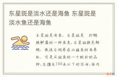 东星斑是淡水还是海鱼 东星斑是淡水鱼还是海鱼