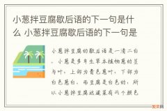 小葱拌豆腐歇后语的下一句是什么 小葱拌豆腐歇后语的下一句是什么意思