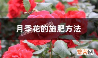 月季施肥方法 月季施肥的正确方法和注意事项