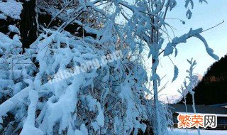 梦到白雪满地是啥意思 梦到白雪满地的寓意