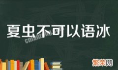 反击夏虫不可语冰 夏虫不可语冰怎么回击