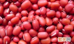 红豆几种怎么区分的 红豆几种怎么区分