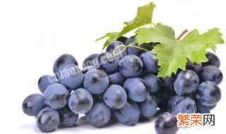 葡萄修剪方法和苹果修剪方法 葡萄修剪方法