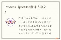 profiles翻译成中文 Profiles