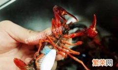 活的小龙虾怎么保存 活的小龙虾如何保存