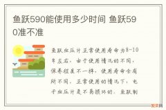 鱼跃590能使用多少时间 鱼跃590准不准