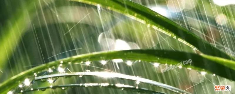 雨水最终流向什么地方 雨水流向哪里