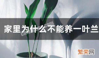 家里为什么不能养一叶兰 吸甲醛的绿植排名