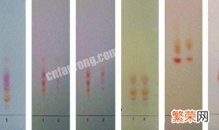 薄层色谱法中Rf值指的是什么 薄层色谱法中Rf值是什么意思