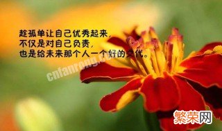 朋友圈正能量语录短句 适合发朋友圈的句子