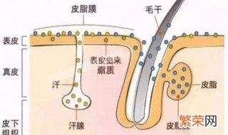 身上皮肤油腻怎么洗 怎么去身上油性皮肤