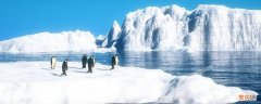 南极光照强度是多少 南极光照强吗
