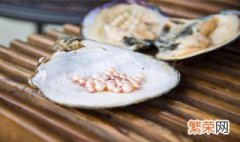 珍珠蚌怎么养 养珍珠蚌方法