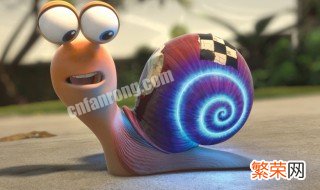 蜗牛一般在什么地方可以找到 蜗牛喜欢在哪里
