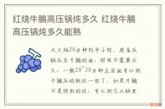 红烧牛腩高压锅炖多久 红烧牛腩高压锅炖多久能熟