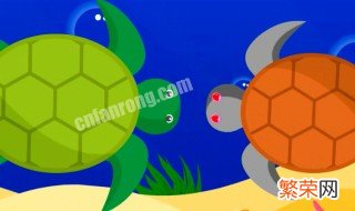 大河甜甜圈龟怎么养 大河甜甜圈龟养黑了
