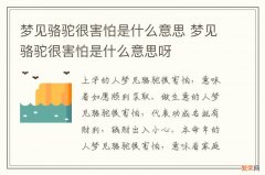 梦见骆驼很害怕是什么意思 梦见骆驼很害怕是什么意思呀