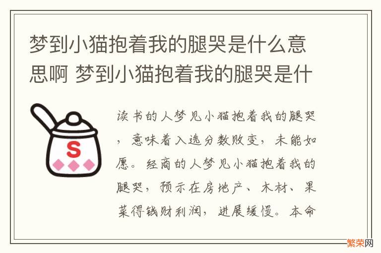 梦到小猫抱着我的腿哭是什么意思啊 梦到小猫抱着我的腿哭是什么意思啊