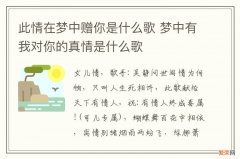 此情在梦中赠你是什么歌 梦中有我对你的真情是什么歌