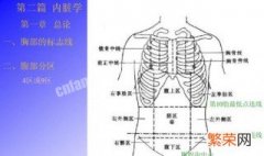 结节间沟解剖位置 结节间沟和喙突解剖定位