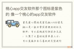 桃心app交友软件那个图标是紫色的 像一个桃心的app交友软件