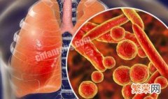 新冠肺炎和普通流感有什么区别 这两者的区别介绍