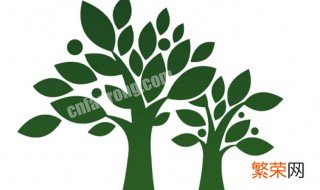 两棵树是什么品牌中文 kolon属于什么档次
