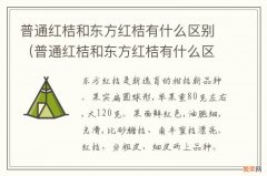 普通红桔和东方红桔有什么区别图片 普通红桔和东方红桔有什么区别