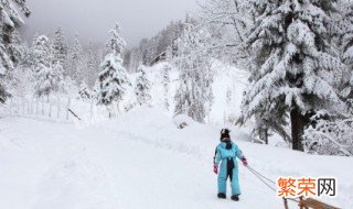 大雪过后为什么感觉格外寂静 寂静的原因介绍