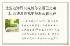 比亚迪海豚充电桩怎么看已充电多少小时 比亚迪海豚充电桩怎么看已充电