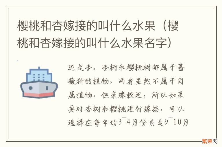 樱桃和杏嫁接的叫什么水果名字 樱桃和杏嫁接的叫什么水果