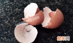 为什么蛋壳容易碎 你知道原因吗