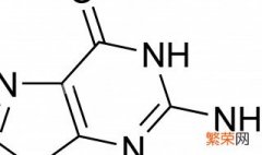 碱基对替换改变氨基酸序列 碱基被替换氨基酸序列没改变的原因