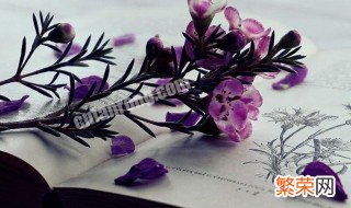 超可爱超撩人的昵称 超可爱超撩人的网名