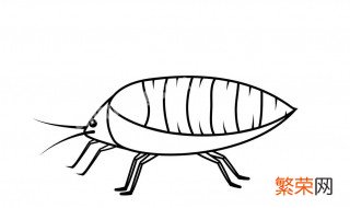 观察蚜虫在12月份合适吗 一般来讲观察蚜虫是在几月份