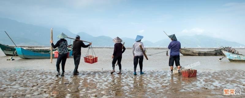 中潮和小潮不适合赶海吗 中潮赶海好吗