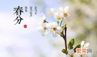 了解春分节气 春分这个节气有什么特征