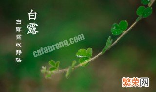 二十四节气中白露节气是什么意思 二十四节气中的白露是什么意思?