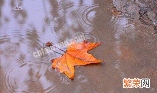 正月初七下雨意味什么 大年初七下雨意味什么