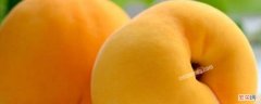 黄桃含钾高吗 黄桃的含钾量是多少