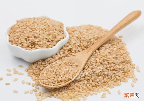 糙米要泡多久才能煮饭 吃糙米饭有什么好处