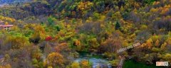 松坪沟在四川什么地方 川西松坪沟在哪里