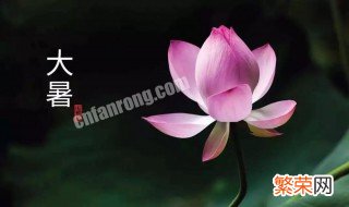 大暑节气的养生 大暑节气养生茶有哪些