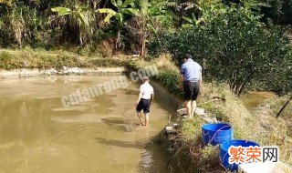 鱼池捞鱼窍门 鱼池捞鱼技巧