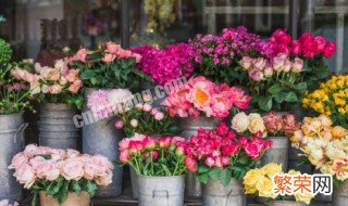 中午浇花会不会把花浇死 中午浇花会把花浇死吗