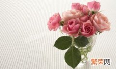 12朵粉玫瑰代表什么意思 2朵粉玫瑰的寓意